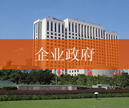 沃安服務(wù)領(lǐng)域：企業(yè)政府